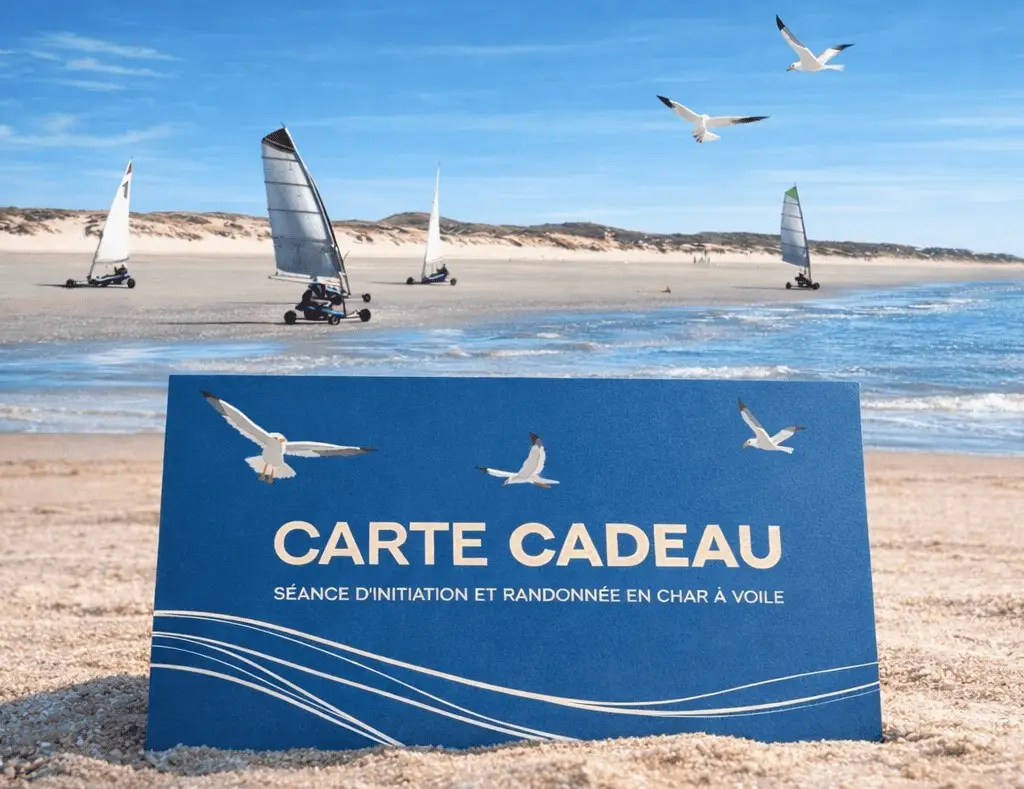 Offrir une expérience vivifiante en baie de somme